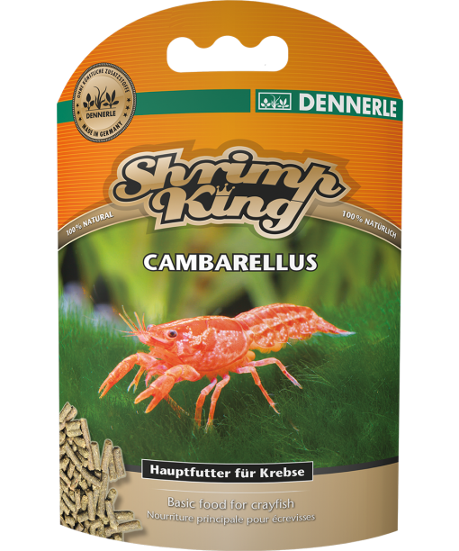 Shrimp king: Cambarellus