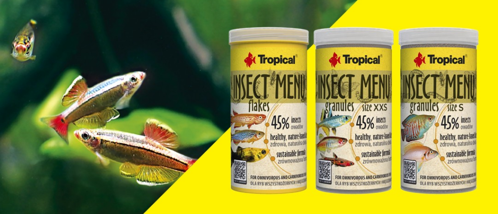 Forrykt højt insekt-indhold i Insect Menu fra Tropical