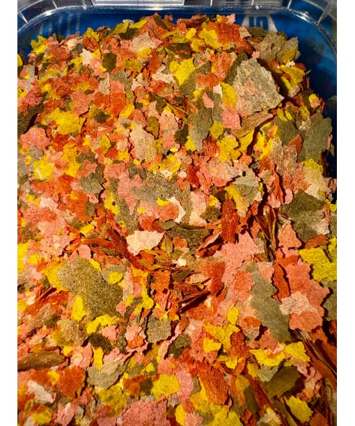 Basic Energy flagefoder 5000 ml med hvidløg