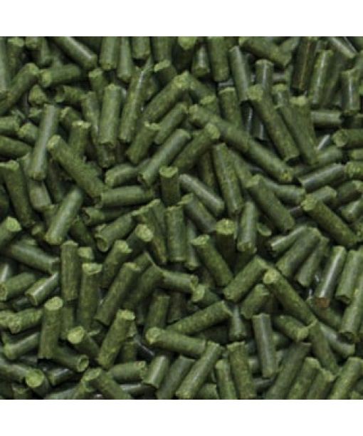basic dill sticks 200 gr
