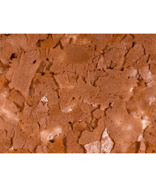 basic artemia flager 1000 ml (tropical) opmålt