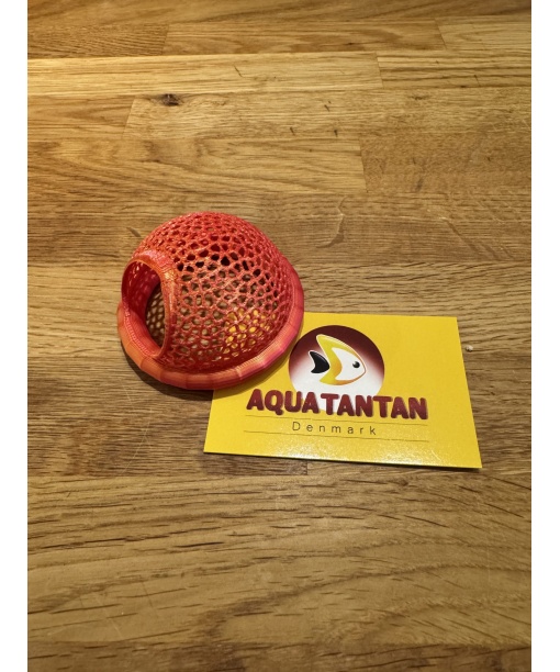 kampfiske seng Sunset 1 stk