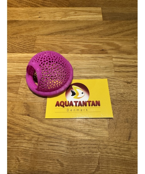 kampfiske seng Lilla 1 stk