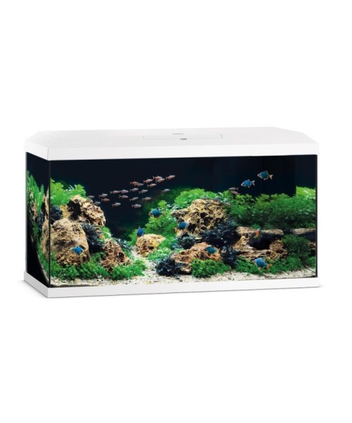 Juwel Primo akvarie 110 liter LED Hvid  *** Bestillingsvare ***