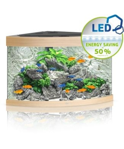 Juwel Trigon akvarie 190 liter LED Lyst træ *** Bestillingsvare ***