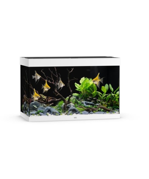 Juwel Rio akvarie 290 liter LED Hvid *** Bestillingsvare ***
