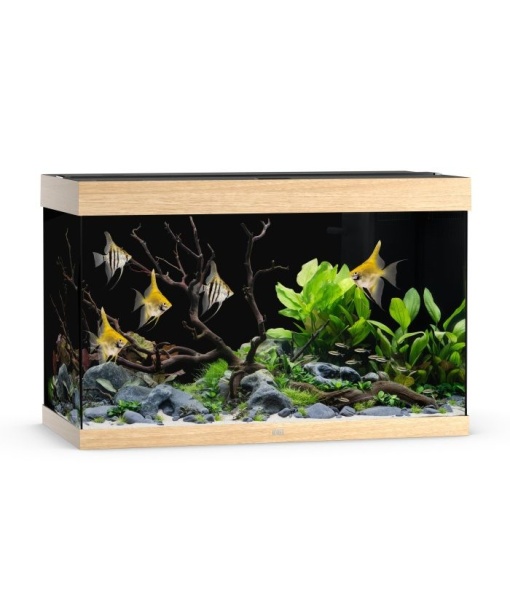 Juwel Rio akvarie 290 liter LED Lyst træ *** Bestillingsvare ***