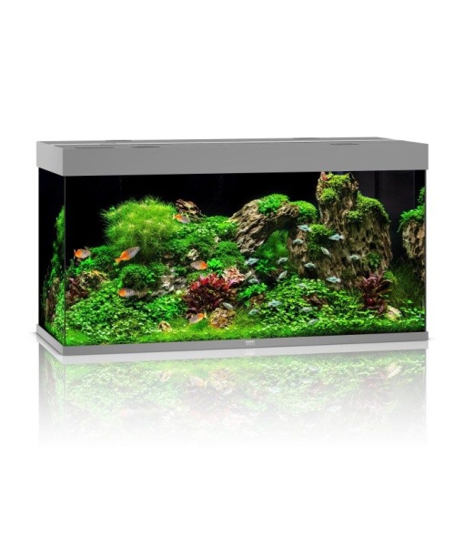 Juwel Rio akvarie 350 liter LED Grå *** Bestillingsvare ***