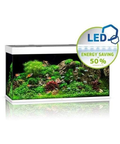 Juwel Rio akvarie 350 liter LED Hvid *** Bestillingsvare ***
