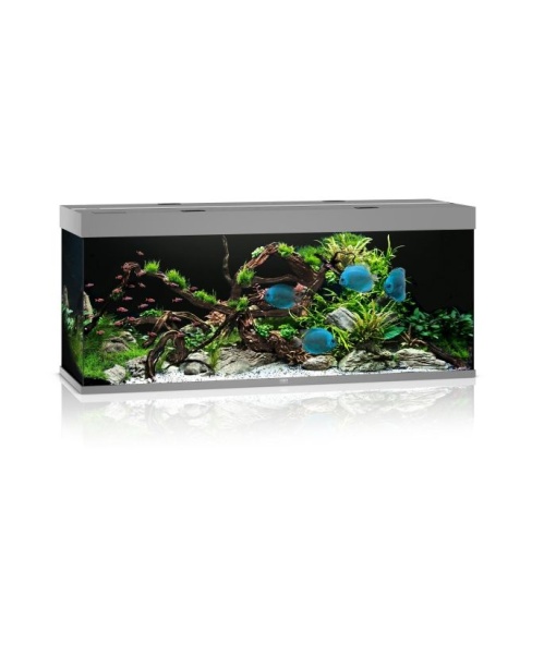 Juwel Rio akvarie 450 liter LED Grå *** Bestillingsvare ***