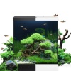 Juwel Vio Cube akvarie 54 liter Sort *** Bestillingsvare *** - Billede 3