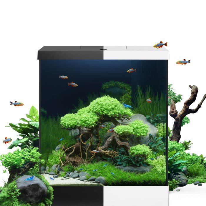 Juwel Vio Cube akvarie 54 liter Sort *** Bestillingsvare *** - Billede 3