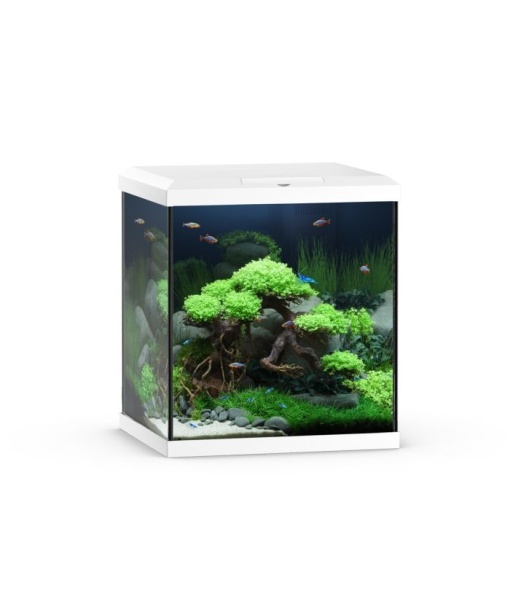 Juwel Vio Cube akvarie 54 liter Hvid  *** Bestillingsvare ***