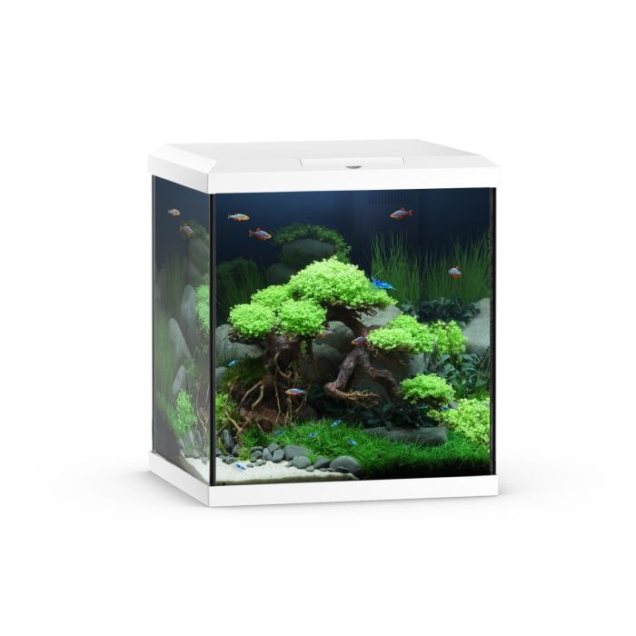 Juwel Vio Cube akvarie 54 liter Hvid *** Bestillingsvare ***
