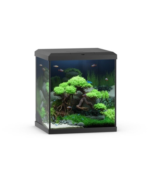 Juwel Vio Cube akvarie 54 liter Sort  *** Bestillingsvare ***