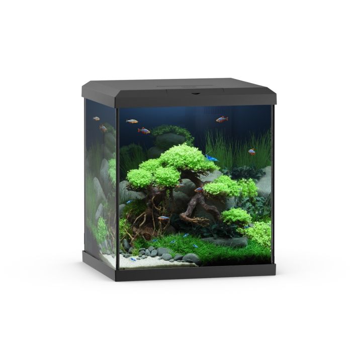 Juwel Vio Cube akvarie 54 liter Sort *** Bestillingsvare ***