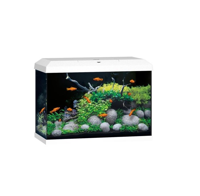 Juwel Primo akvarie 70 liter LED Hvidt *** Bestillingsvare ***