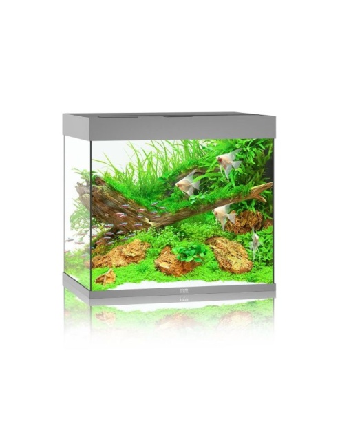 Juwel Lido akvarie 200 liter LED Gråt  *** Bestillingsvare ***