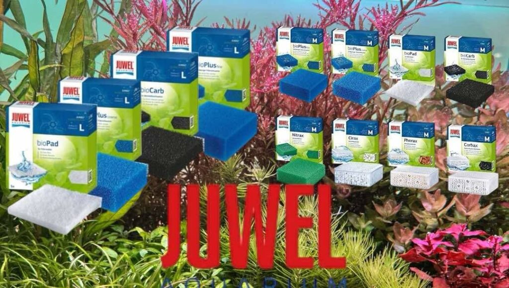 Juwel filtersvampe – sådan vedligeholder du dit filter