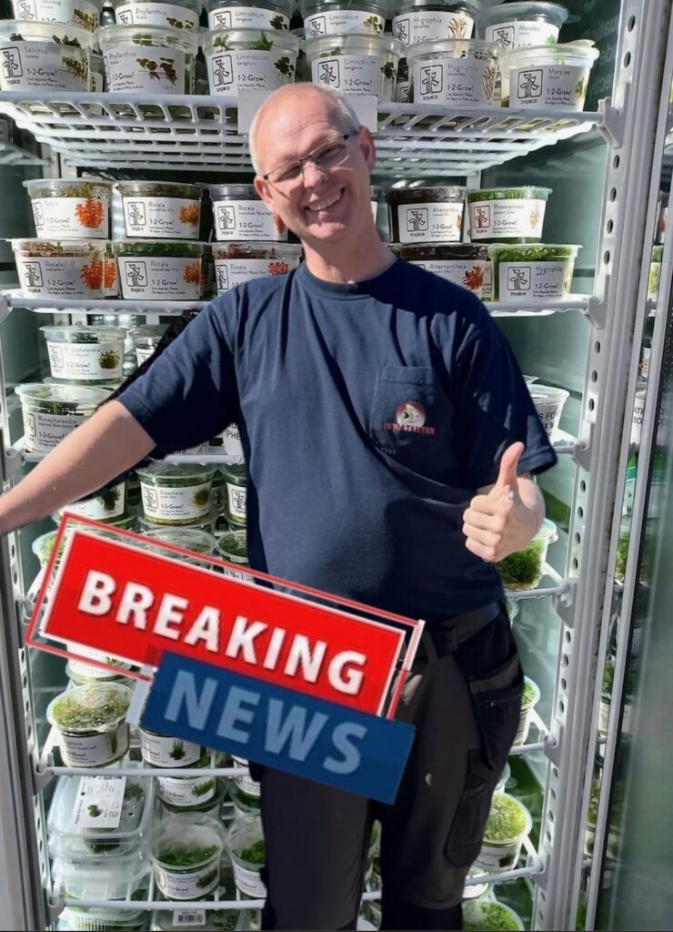 Nu kan vi tilbyde endnu friskere planter